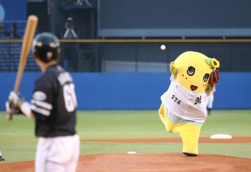 いろんなプロ野球の始球式が見たいです。
