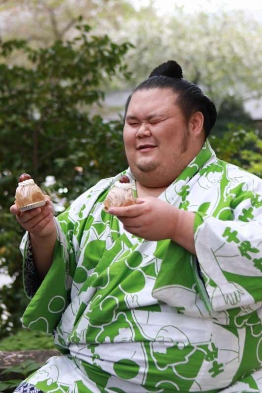 お相撲さんアルバムーいただきます編part2ー