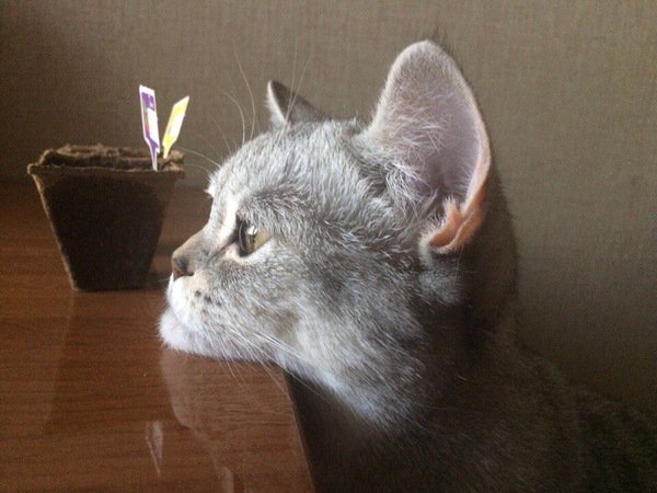 生きにくい人