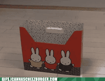 明るい気分になれるGIF画像を貼っていくトピ