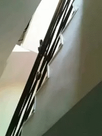 明るい気分になれるGIF画像を貼っていくトピ