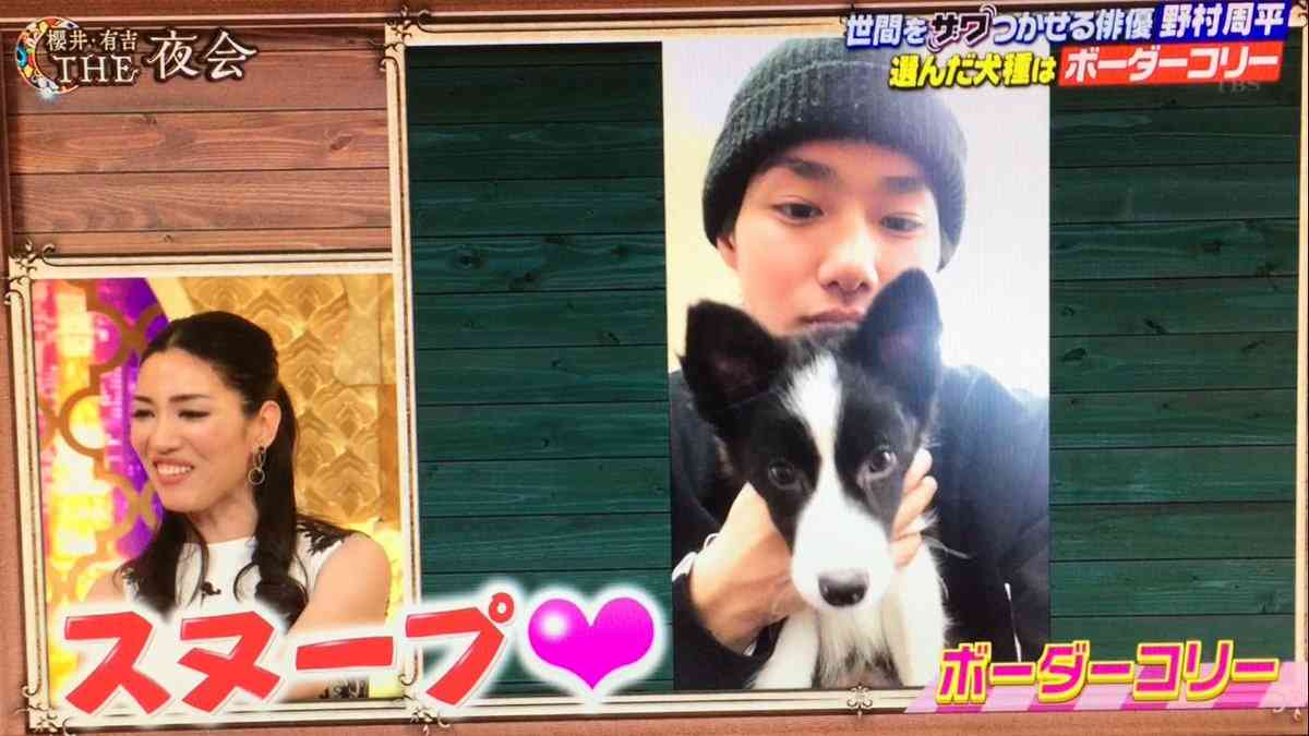 野村周平、番組で購入の仔犬にメロメロ！さっそくインスタで公開！