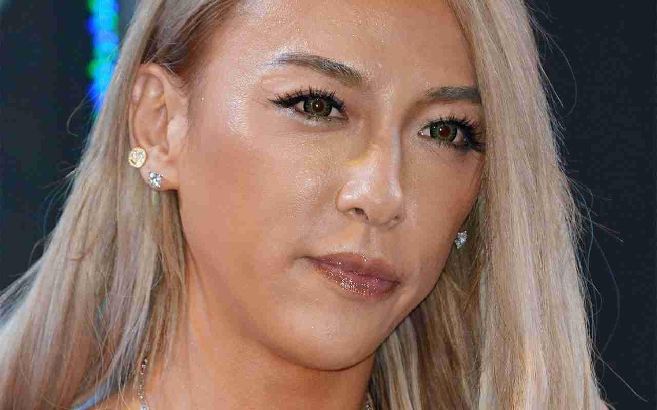 福岡金塊強盗　実行犯の結婚式に出席していたタレント- 記事詳細｜Infoseekニュース