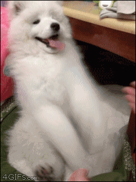明るい気分になれるGIF画像を貼っていくトピ
