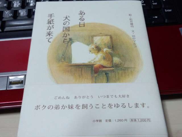 毎朝7時、亡くなったペットからメッセージが届くサービス開始　「ママはよくやってくれたよ。だから、自分を責めないで」