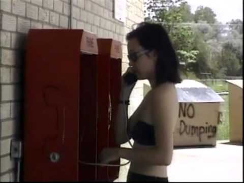 Seagull Screaming Kiss Her Kiss Her - Down To Mexico (Official PV) - YouTube