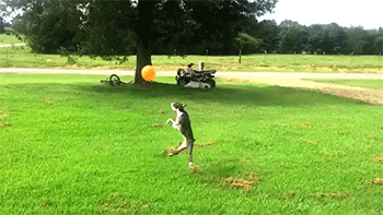 明るい気分になれるGIF画像を貼っていくトピ