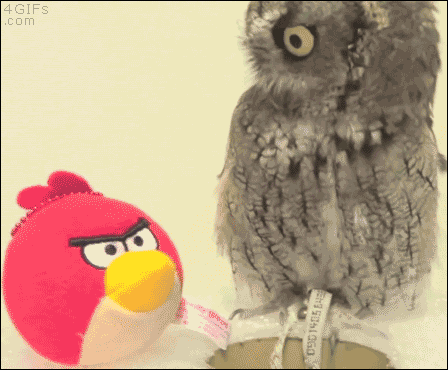 明るい気分になれるGIF画像を貼っていくトピ