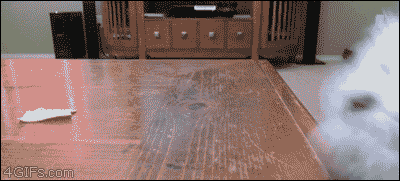 明るい気分になれるGIF画像を貼っていくトピ