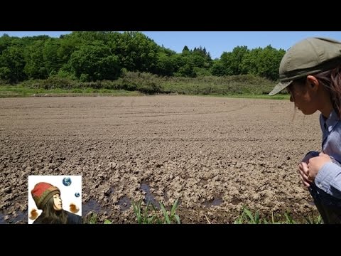 田んぼに水を入れる～30代女ひとりで田んぼの入水式｜Rice farming - YouTube