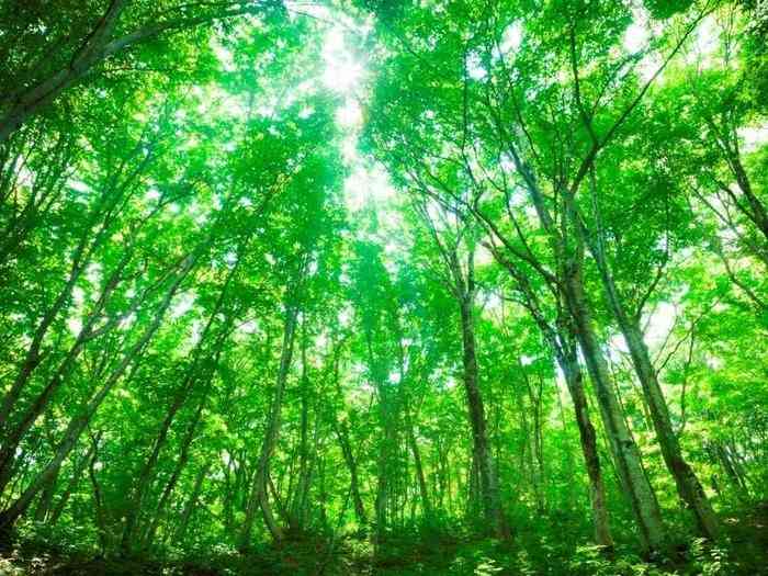 夏の観光地の画像を貼っていくトピ