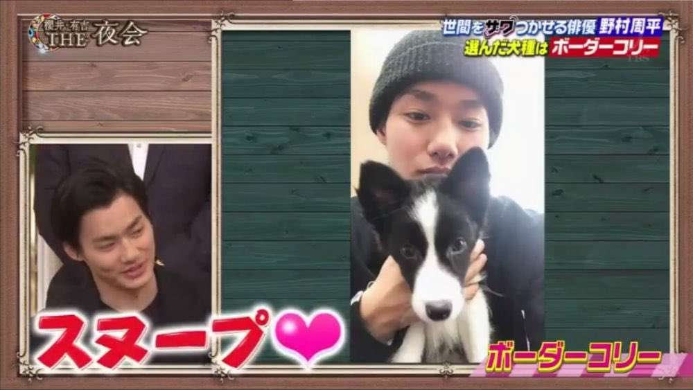 野村周平、愛犬スヌープを飼い始めるもペットショップ店員が抱く懸念点
