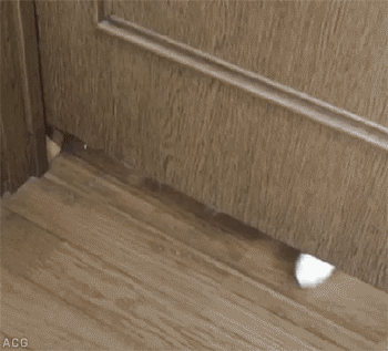 明るい気分になれるGIF画像を貼っていくトピ