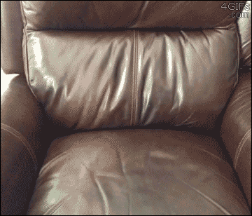 明るい気分になれるGIF画像を貼っていくトピ