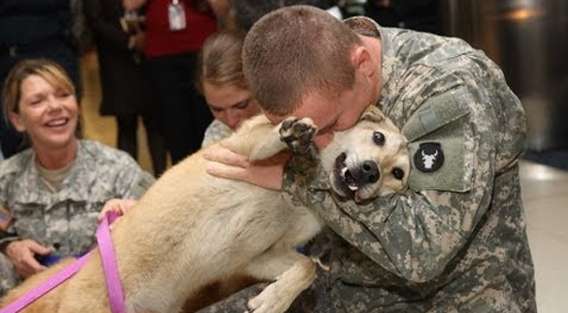 うれしいよお、うれしいよお。帰還した兵士と犬の感動の再会 : カラパイア
