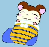靴下好きな人〜！