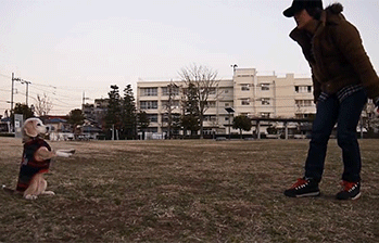 明るい気分になれるGIF画像を貼っていくトピ