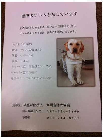 盲導犬が虐待により行方不明に / 歩きながら排尿する異常な写真も「やせ衰え皮膚炎を起こし全ての被毛が抜け落ちていた」 | ロケットニュース24
