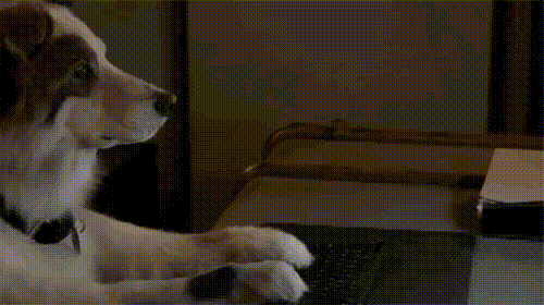 明るい気分になれるGIF画像を貼っていくトピ
