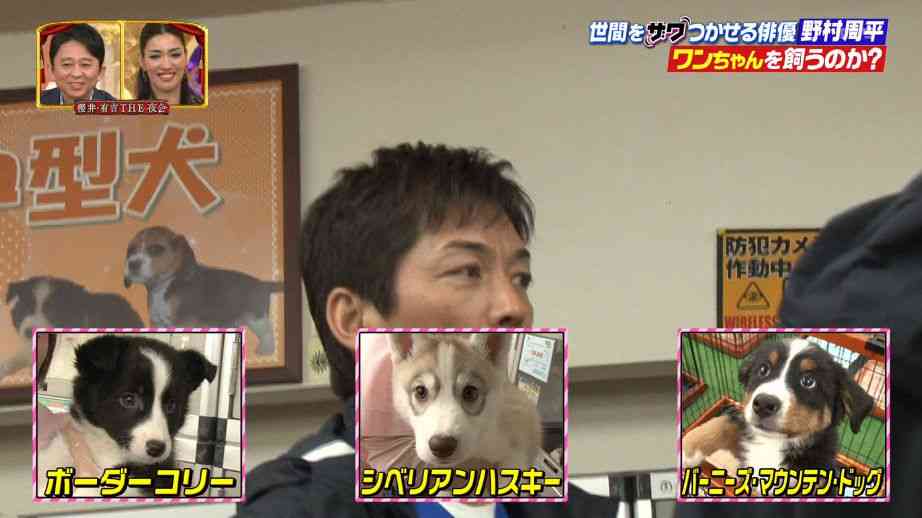 野村周平、愛犬スヌープを飼い始めるもペットショップ店員が抱く懸念点