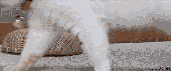 明るい気分になれるGIF画像を貼っていくトピ
