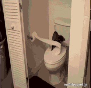 明るい気分になれるGIF画像を貼っていくトピ