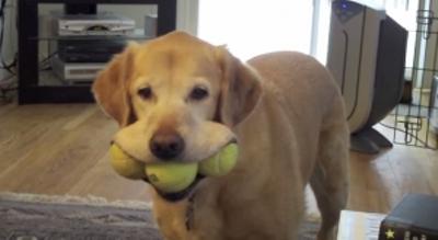 【あなたの画像フォルダのとっておき】見せてください～