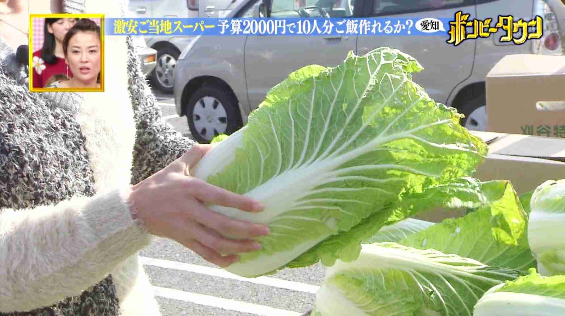 手が綺麗だと思う芸能人