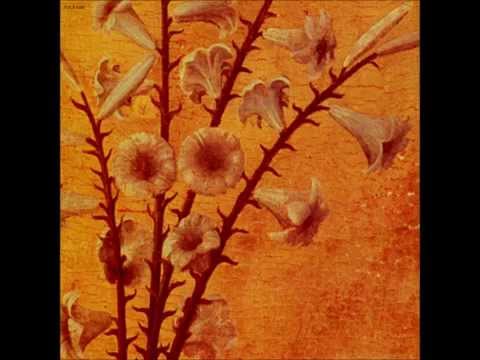 黒夢 (Kuroyume) - 棘 (Toge) - YouTube