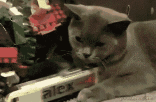 明るい気分になれるGIF画像を貼っていくトピ