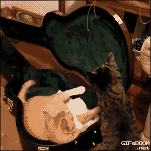 明るい気分になれるGIF画像を貼っていくトピ