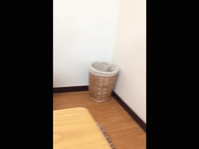 明るい気分になれるGIF画像を貼っていくトピ