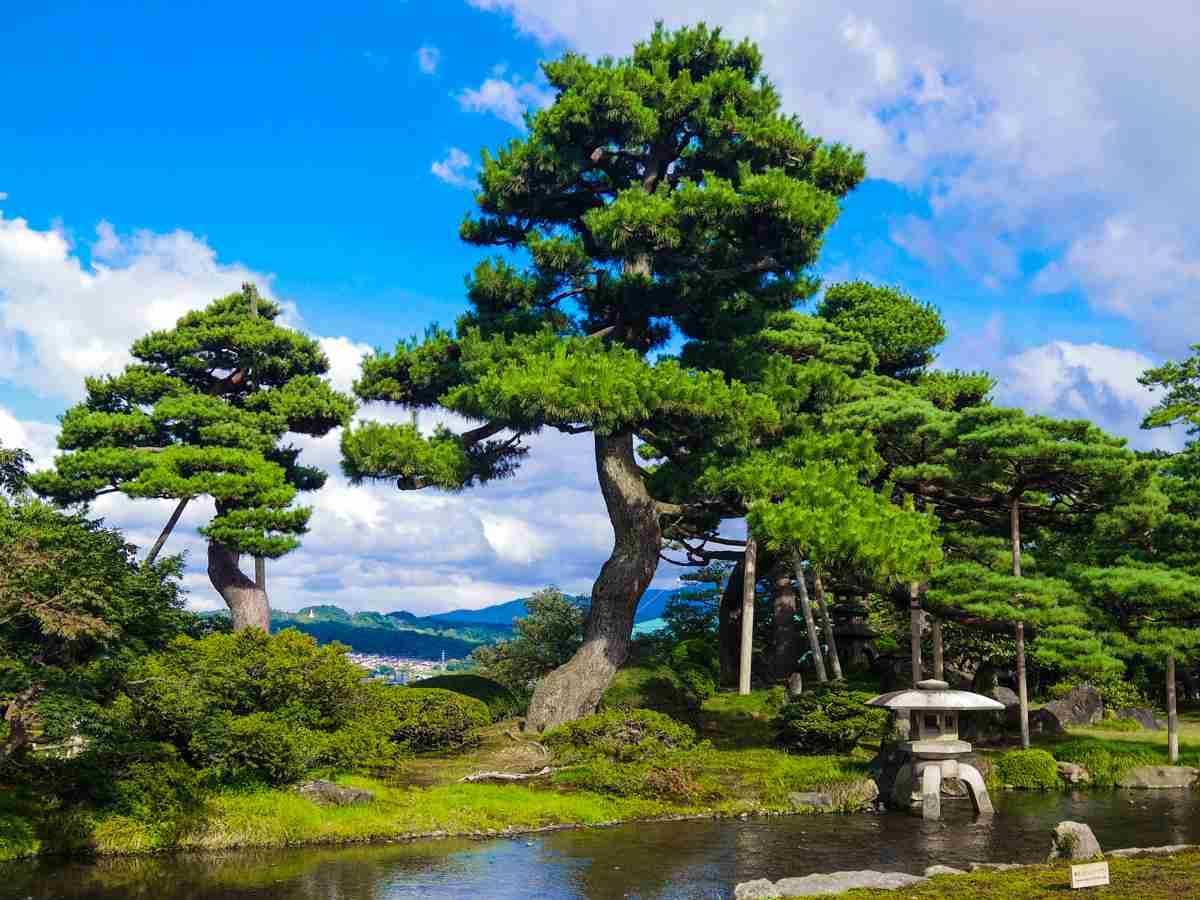 夏の観光地の画像を貼っていくトピ
