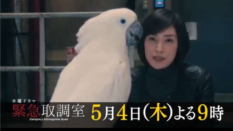 [実況・感想]  緊急取調室　#3