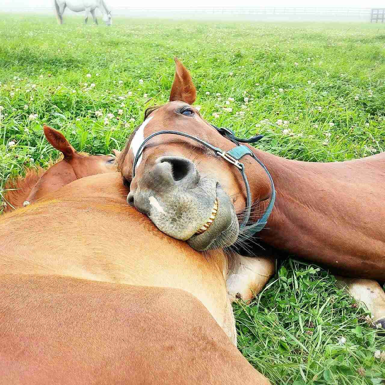 【あなたの画像フォルダのとっておき】見せてください～