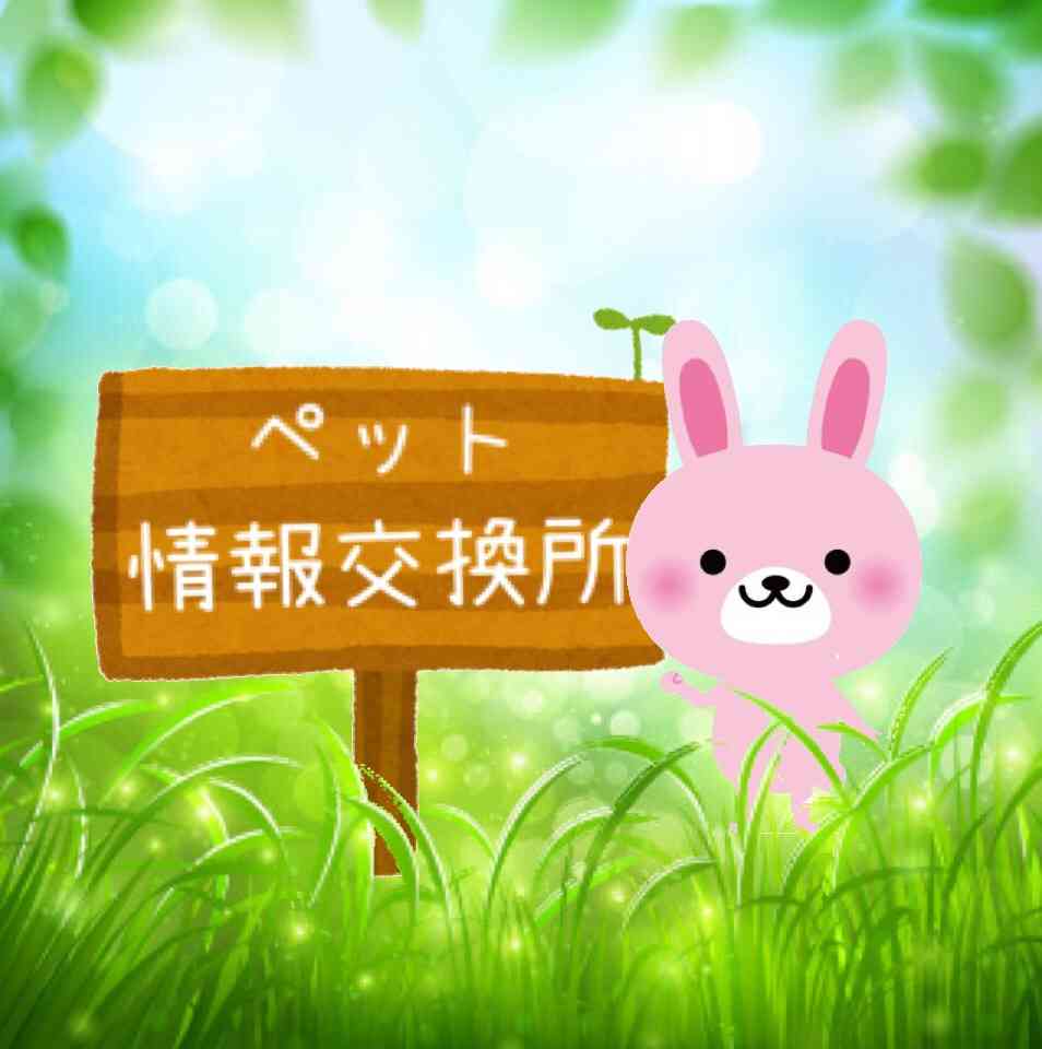 ペット情報交換所