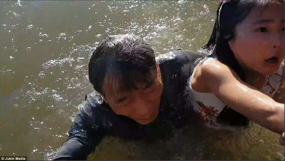 アシカに引っ張られ水中に落ちた少女 感染症の危険も(カナダ)<動画あり>