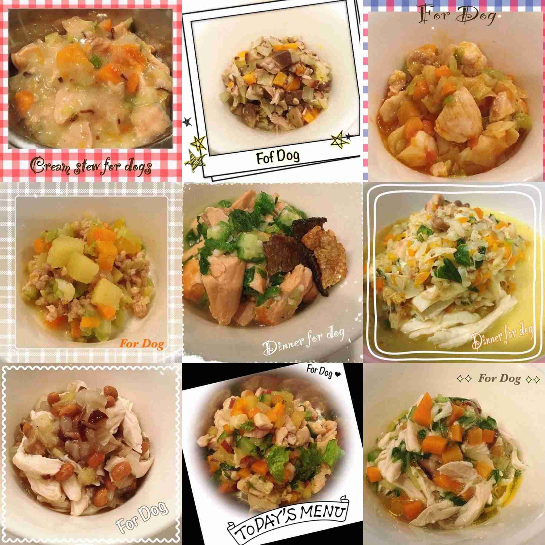 有名人、芸能人の料理写真が見たい！