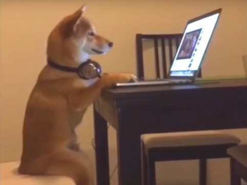 スマホよりPCが好きな人