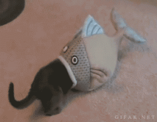 明るい気分になれるGIF画像を貼っていくトピ