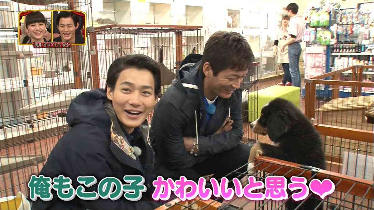 可愛い犬の画像くださいませ