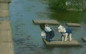 明るい気分になれるGIF画像を貼っていくトピ