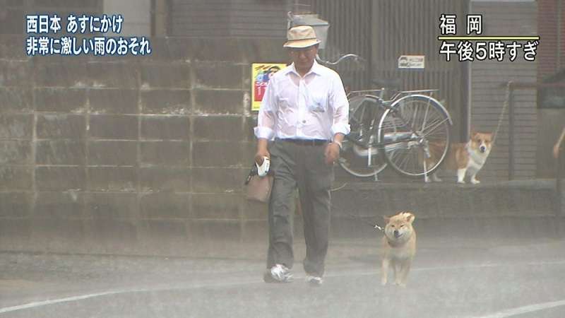どうしてこうなった(笑)?この犬のこだわりが…ちょっとオカシイ