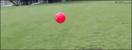 明るい気分になれるGIF画像を貼っていくトピ
