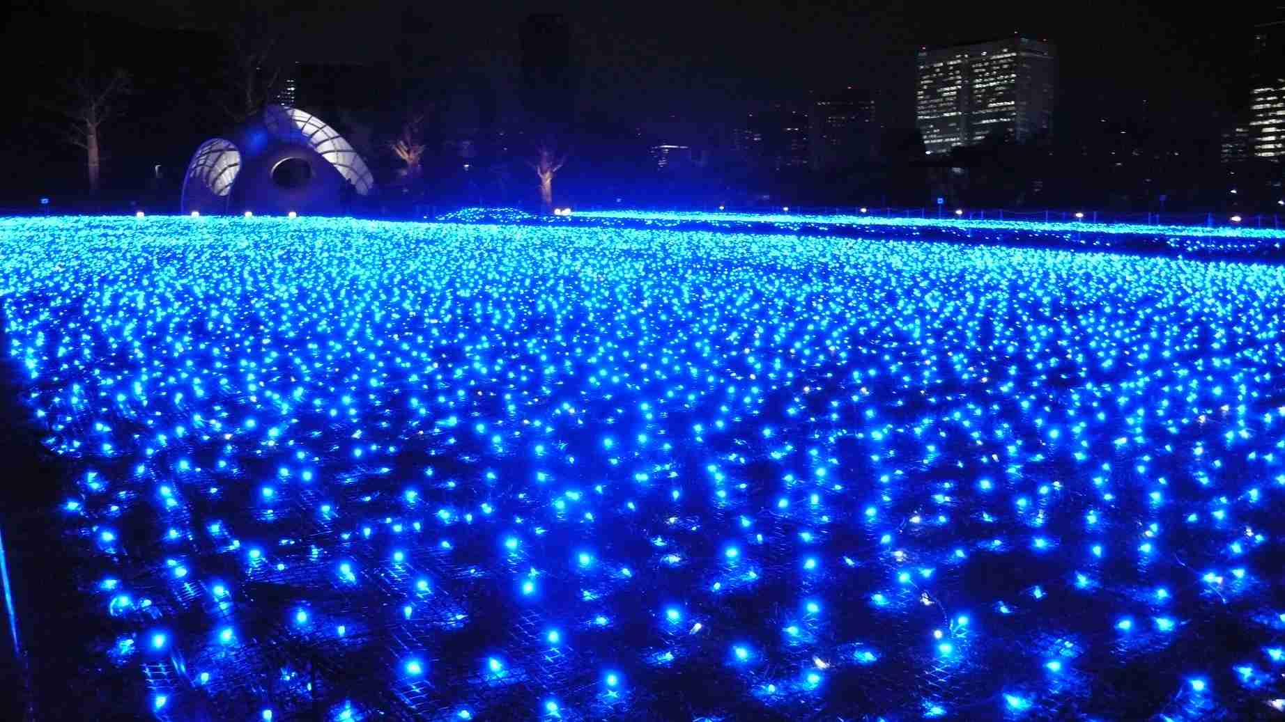 青の画像貼るトピ