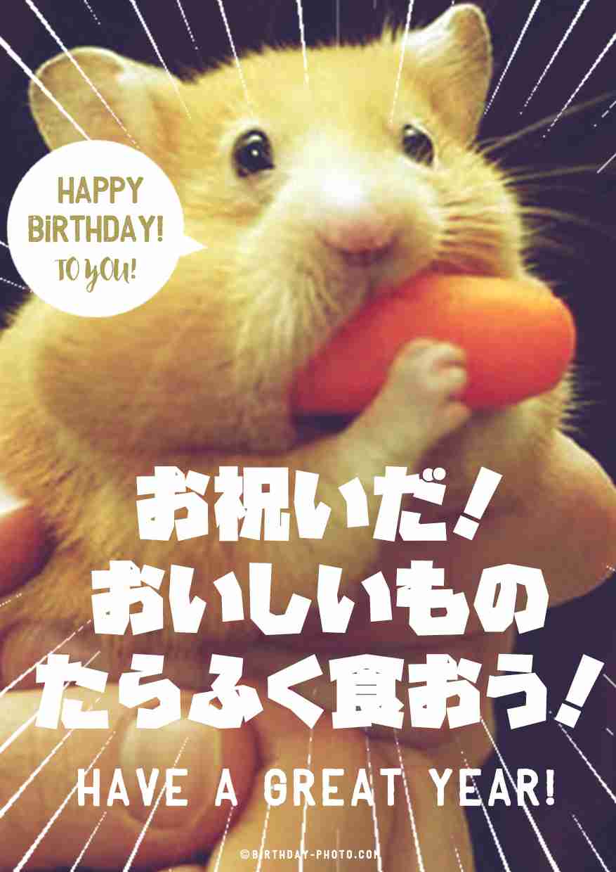 独りの誕生日の過ごし方