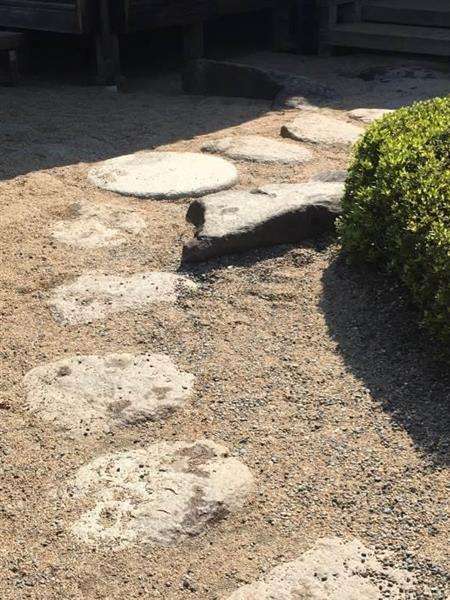 浜離宮庭園で液体の染み　オリーブオイル？点々と　警視庁が捜査