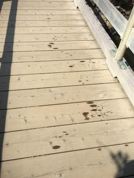 浜離宮庭園で液体の染み　オリーブオイル？点々と　警視庁が捜査