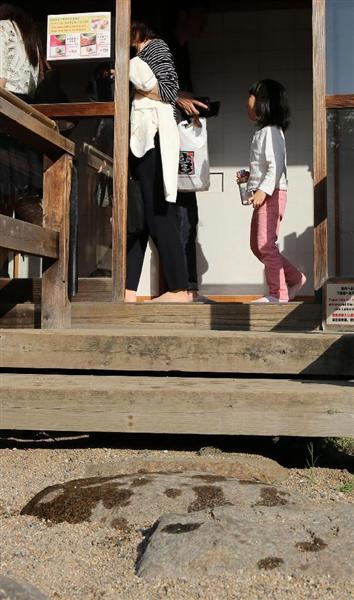 浜離宮庭園で液体の染み　オリーブオイル？点々と　警視庁が捜査