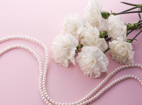 白いカーネーションはNG!?「母の日」に贈ると失礼すぎる贈り物とは